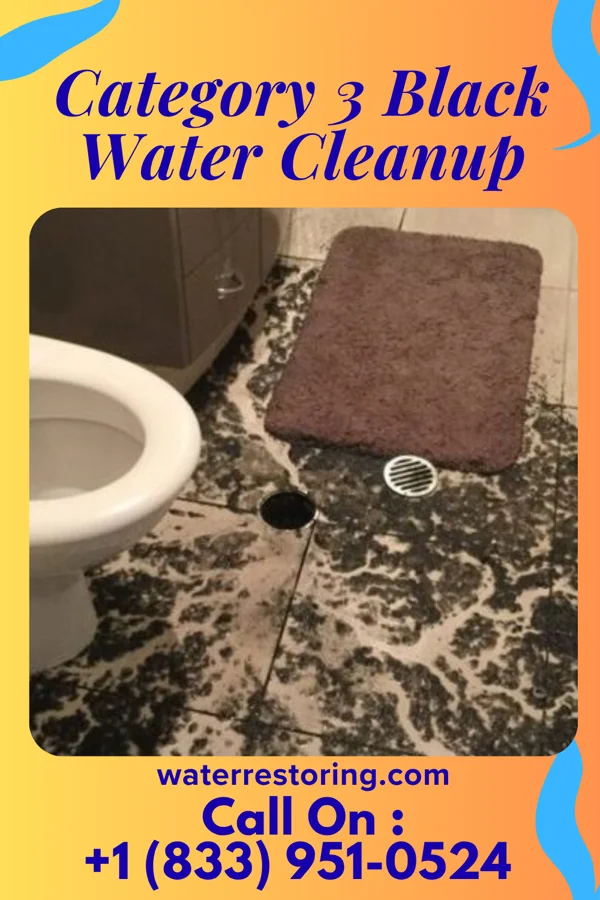 Category 3 Black Water Cleanup in North Ridgeville, OH