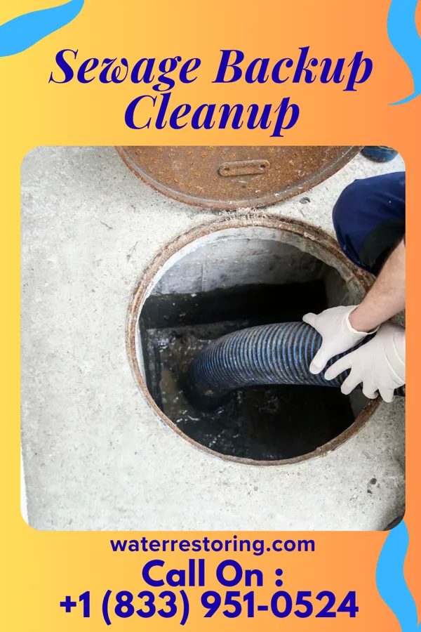 Sewage Backup Cleanup in North Ridgeville, OH