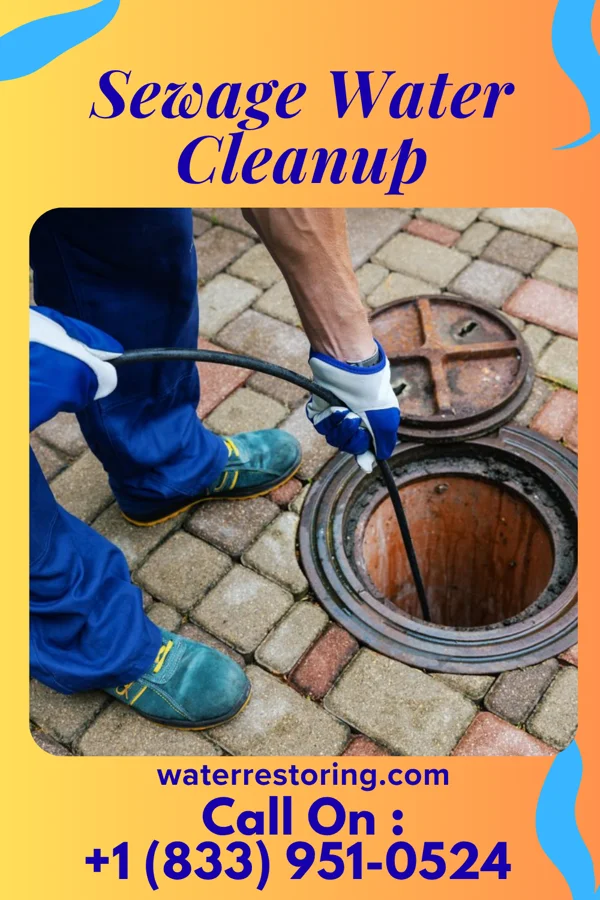 Sewage Water Cleanup in North Ridgeville, OH