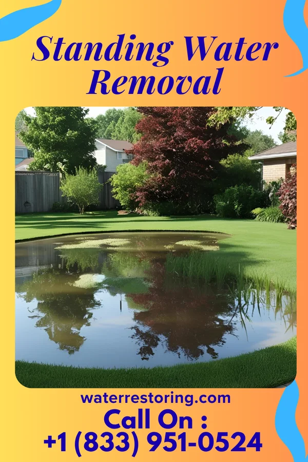 Standing Water Removal in North Ridgeville, OH